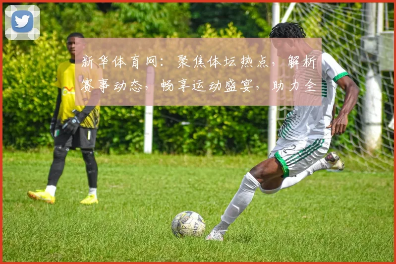 新华体育网：聚焦体坛热点，解析赛事动态，畅享运动盛宴，助力全民健身