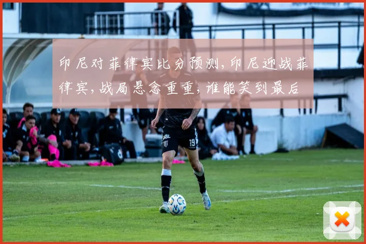 印尼对菲律宾比分预测,印尼迎战菲律宾,战局悬念重重,谁能笑到最后,一触即发
