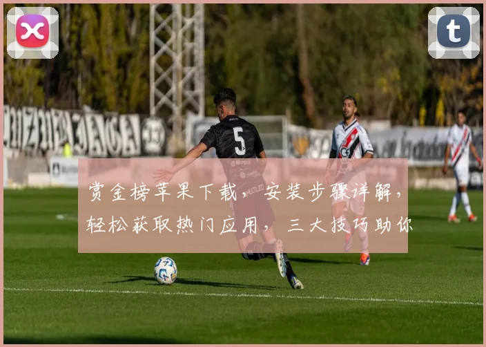 赏金榜苹果下载，安装步骤详解，轻松获取热门应用，三大技巧助你高效安装，一网打尽
