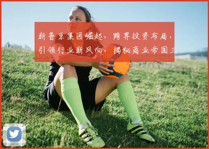 新普京集团崛起，跨界投资布局，引领行业新风向，揭秘商业帝国三重奏
