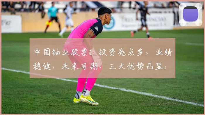 中国铀业股票：投资亮点多，业绩稳健，未来可期，三大优势凸显，不容错过