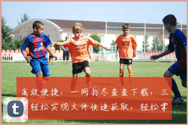 高效便捷，一网打尽查查下载，三步轻松实现文件快速获取，轻松掌握。
