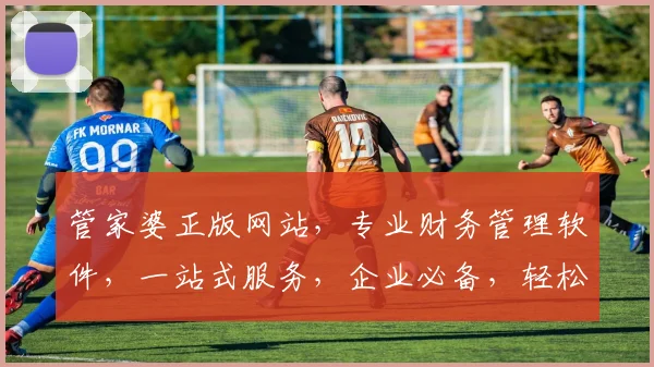 管家婆正版网站，专业财务管理软件，一站式服务，企业必备，轻松办公
